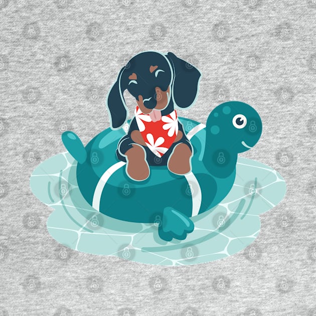 Summer pool pawty // aqua background dachshund dog breed in vacation playing on swimming pool by SelmaCardoso